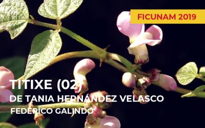 FICUNAM 2019: Titixe (02) de Tania Hernández Velasco