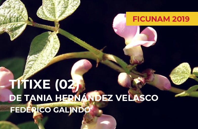FICUNAM 2019: Titixe (02) de Tania Hernández Velasco