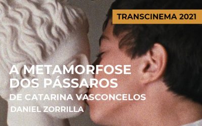 Transcinema 2021: A Metamorfose dos Pássaros de Catarina Vasconcelos