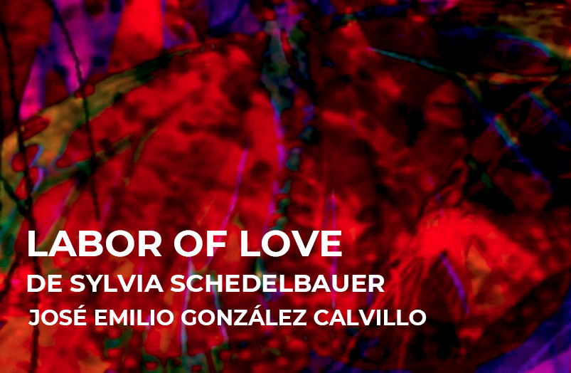 Labor of Love de Sylvia Schedelbauer