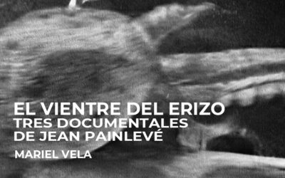 El vientre del erizo: Tres documentales de Jean Painlevé