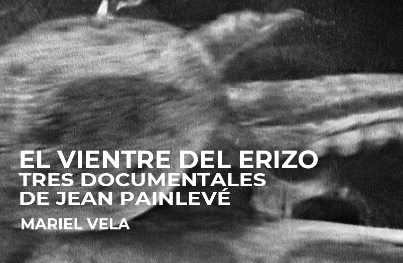 El vientre del erizo: Tres documentales de Jean Painlevé