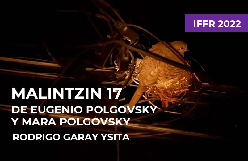 IFFR 2022: Malintzin 17 de Eugenio Polgovsky y Mara Polgovsky